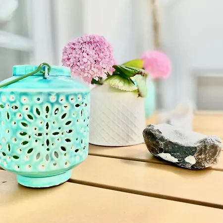 Carpe Diem,whg 1 Zingst